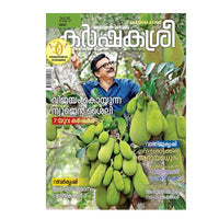 kashakasree magazine online kingnqueenz