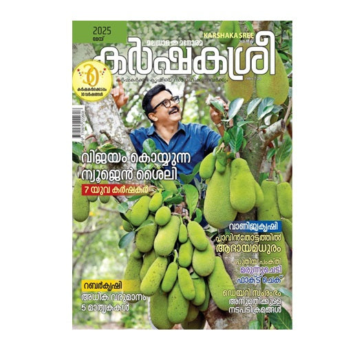 kashakasree magazine online kingnqueenz