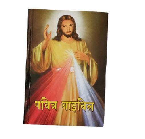 Hindi Bible-Holy Bible Hindi