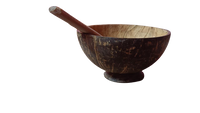 coconut shell cup order online kingnqueenz free shipping