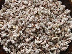 Malar (Puffed Rice or Popped Rice) Buy Online Kingnqueenz.com ...